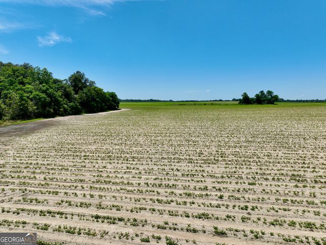 177 Fourteen Lane Road, Hawkinsville, GA 31036