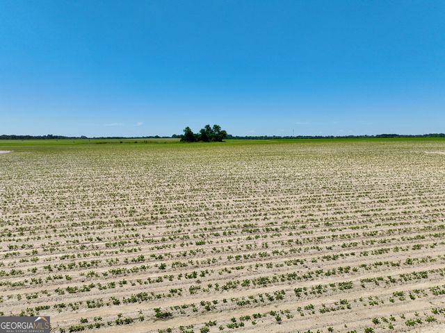 177 Fourteen Lane Road, Hawkinsville, GA 31036