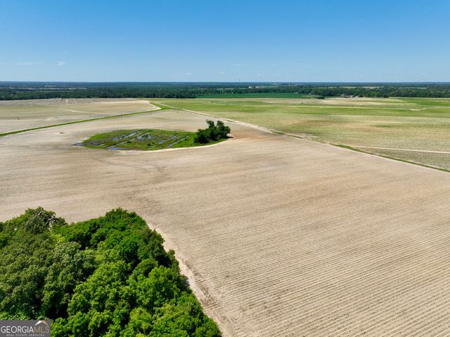 177 Fourteen Lane Road, Hawkinsville, GA 31036