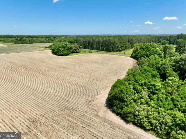 177 Fourteen Lane Road, Hawkinsville, GA 31036