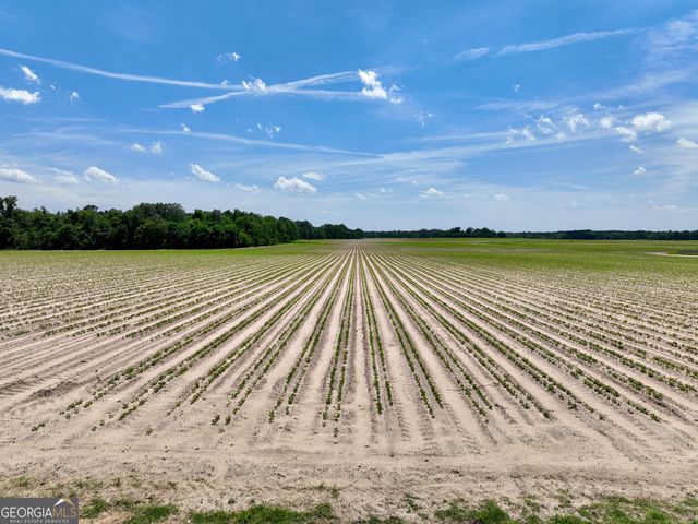 177 Fourteen Lane Road, Hawkinsville, GA 31036