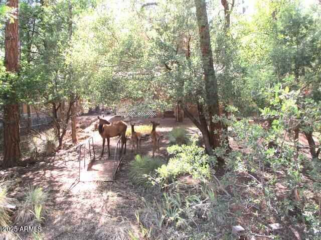 6413 W Barton Drive, Pine, AZ 85544