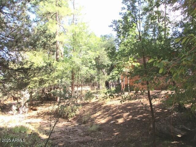6413 W Barton Drive, Pine, AZ 85544