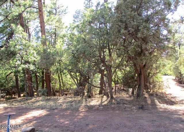 6413 W Barton Drive, Pine, AZ 85544