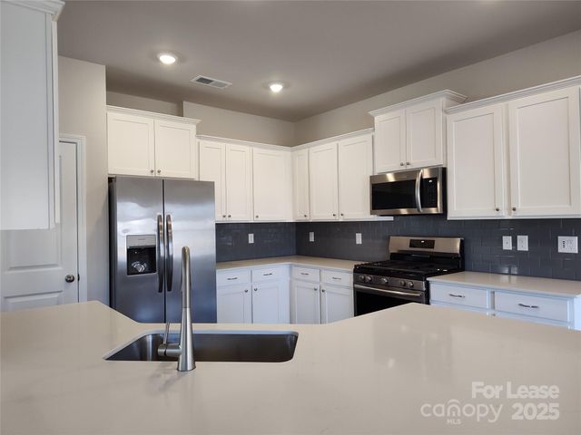 19002 Direwolf Cove, Charlotte, NC 28278