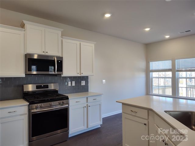 19002 Direwolf Cove, Charlotte, NC 28278