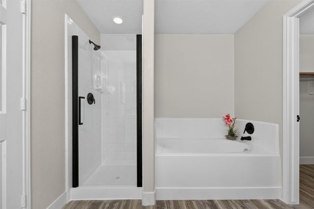 1206 Piedmont Creek Trail, Houston, TX 77073