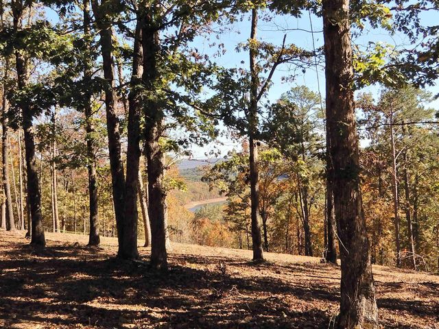 Lot 33, 34 & 35 Watersedge Drive, Edgemont, AR 72044