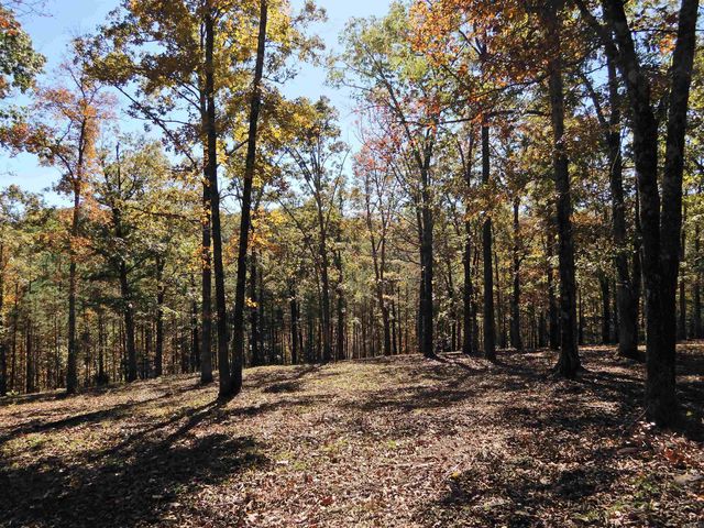 Lot 33, 34 & 35 Watersedge Drive, Edgemont, AR 72044