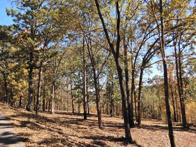 Lot 33, 34 & 35 Watersedge Drive, Edgemont, AR 72044