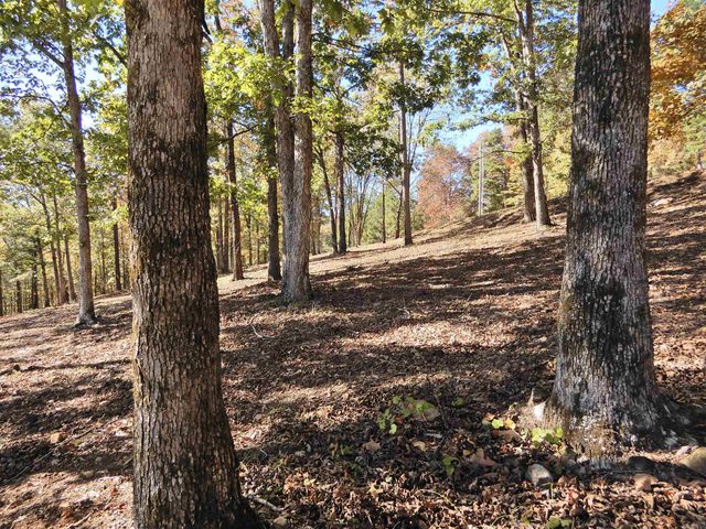 Lot 33, 34 & 35 Watersedge Drive, Edgemont, AR 72044