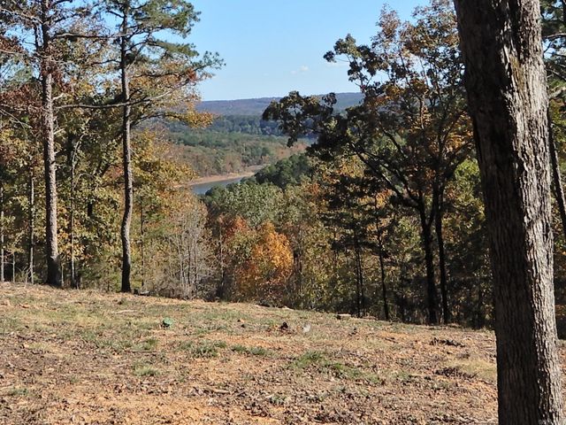Lot 33, 34 & 35 Watersedge Drive, Edgemont, AR 72044