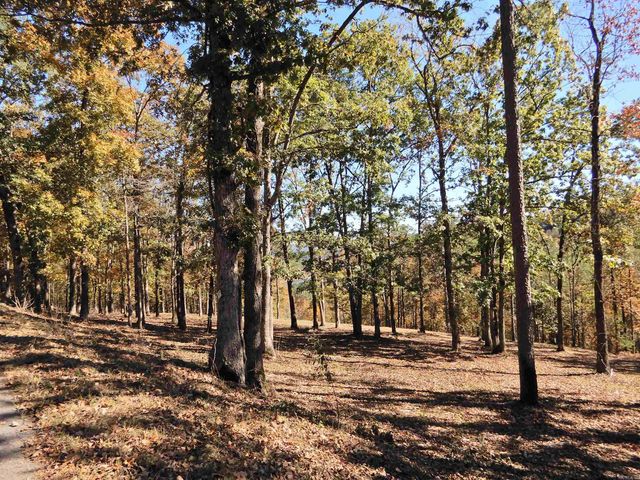 Lot 33, 34 & 35 Watersedge Drive, Edgemont, AR 72044