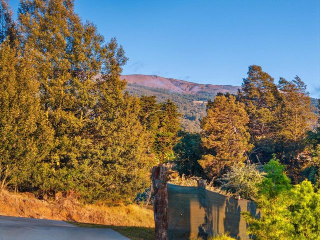 909 Copp Rd, Kula, HI 96790