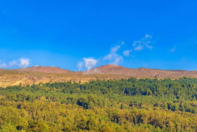 909 Copp Rd, Kula, HI 96790