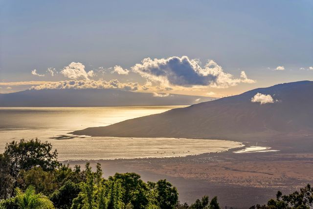 909 Copp Rd, Kula, HI 96790