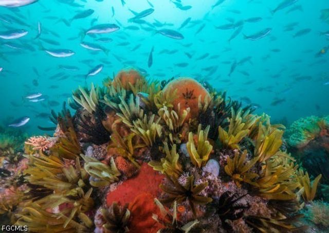 1825 SE 12th TER, Cape Coral, FL 33990