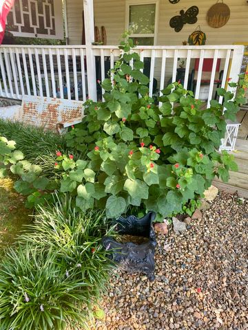 16601 West Road, Roland, AR 72135