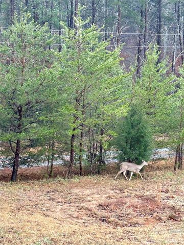 282 Calhoun Trail, Rutherfordton, NC 28139