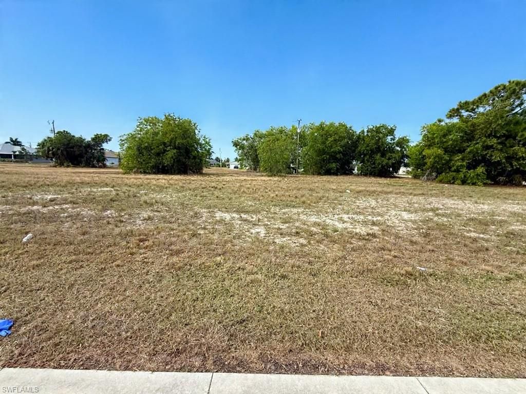 806 Skyline BLVD, CAPE CORAL, FL 33991 — photo 3