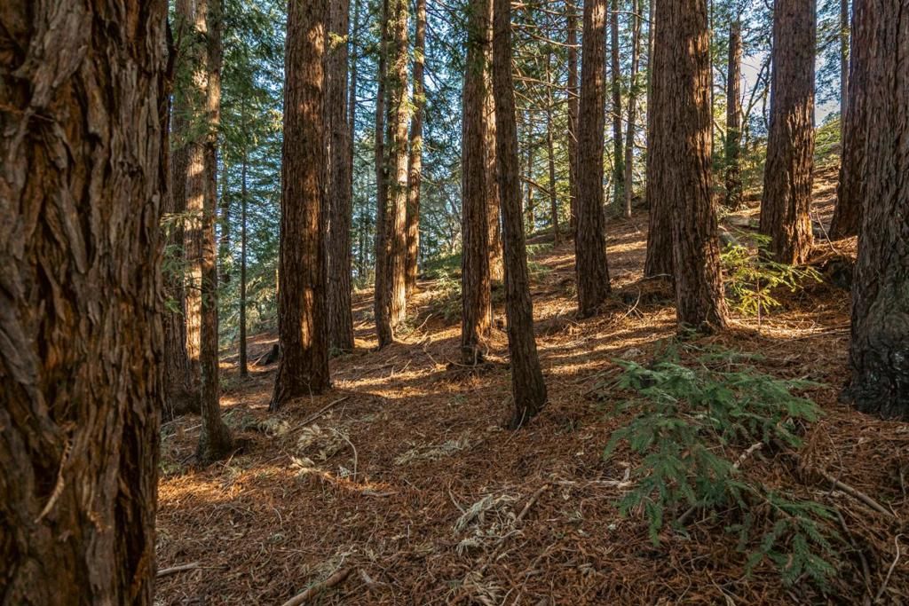 Image 39 of property listing at 1130 Hidden Valley Road, Soquel, CA 95073