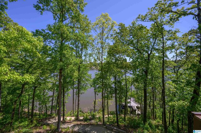 705 LAKEVIEW CREST DRIVE, Pell City, AL 35128