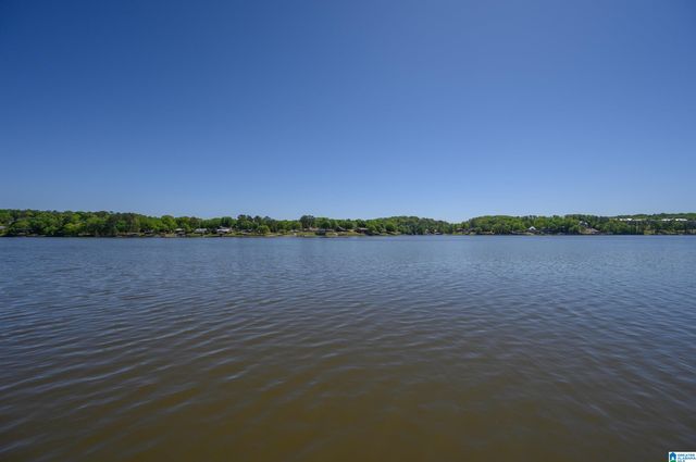 705 LAKEVIEW CREST DRIVE, Pell City, AL 35128