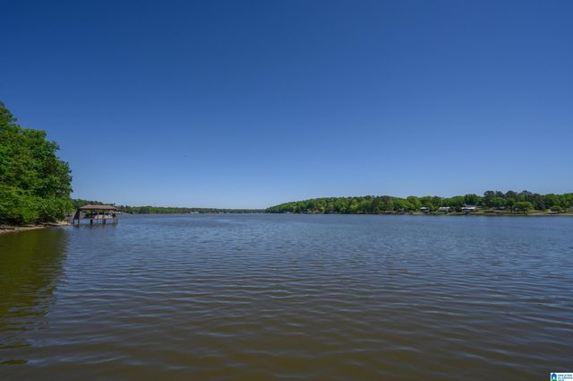 705 LAKEVIEW CREST DRIVE, Pell City, AL 35128