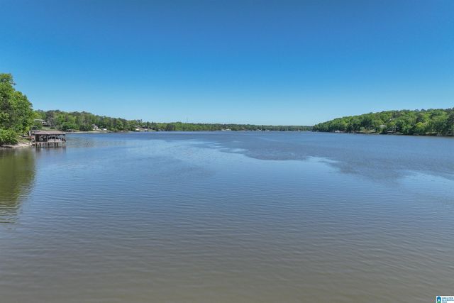 705 LAKEVIEW CREST DRIVE, Pell City, AL 35128