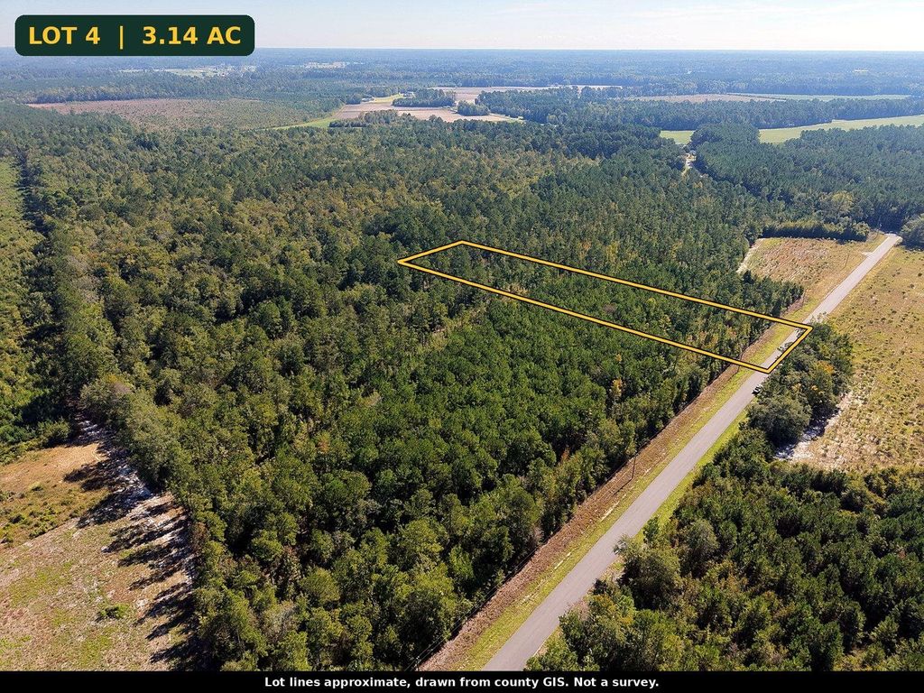 TBD Bellaire Dr., Nichols, SC 29581 — photo 3