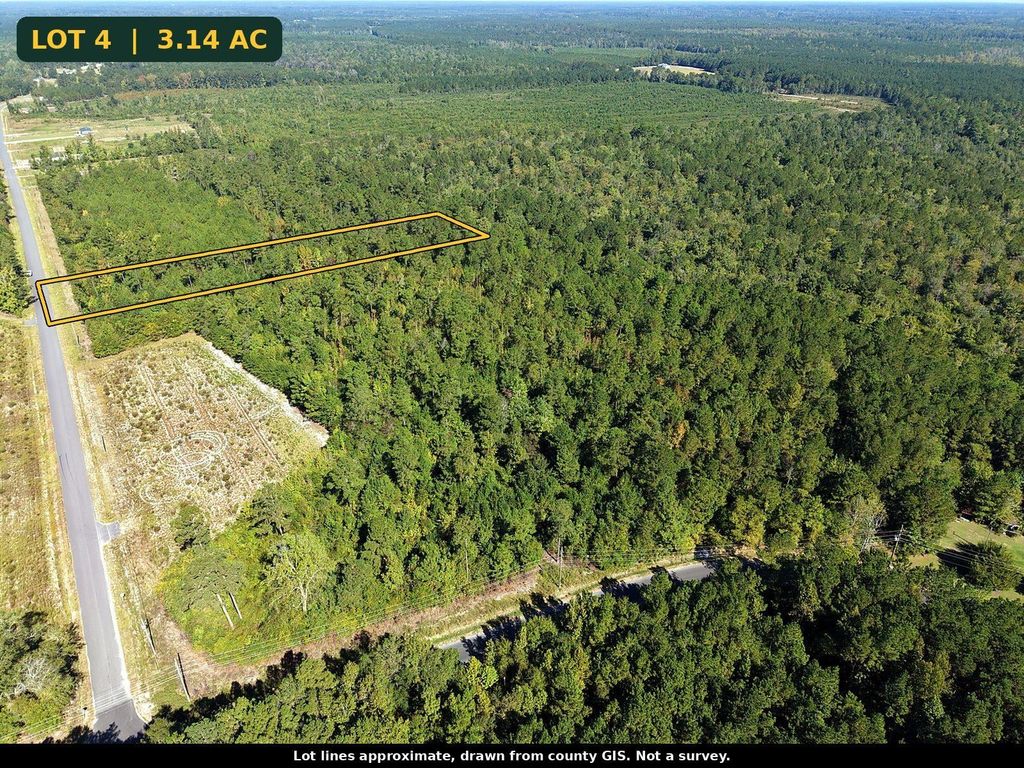 TBD Bellaire Dr., Nichols, SC 29581 — photo 4