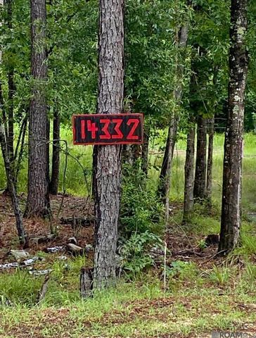 14332 Springfield Rd, Walker, LA 70785
