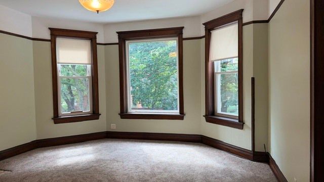 4511 N Greenview Avenue 2, Chicago, IL 60640