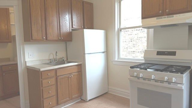4511 N Greenview Avenue 2, Chicago, IL 60640