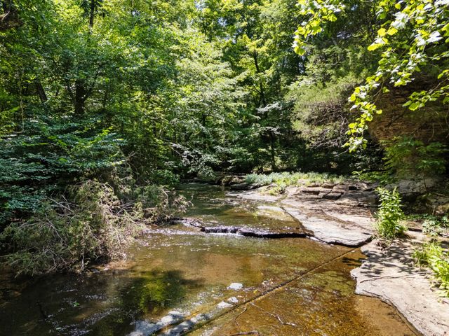 1370 Leatherwood Rd, White Bluff, TN 37187