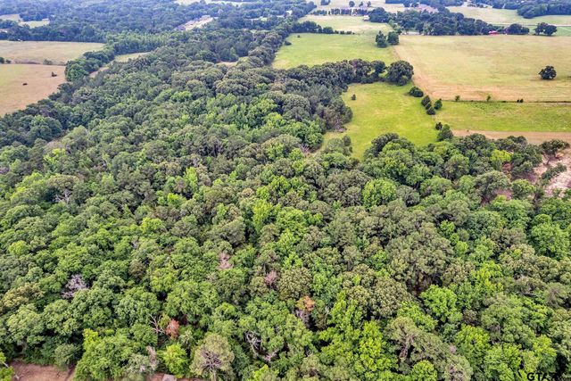 15000 CR 472, Tyler, TX 75706