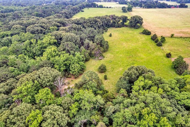 15000 CR 472, Tyler, TX 75706