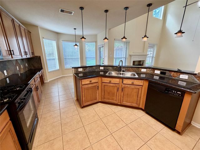 25206 Auburn Terrace Drive, Spring, TX 77389