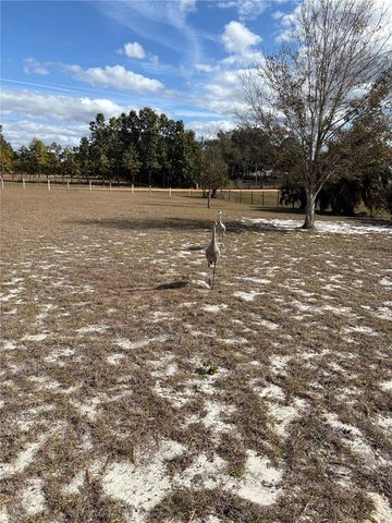 1297 PFUNDSTEIN ROAD, Babson Park, FL 33827