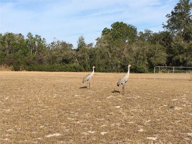 1297 PFUNDSTEIN ROAD, Babson Park, FL 33827