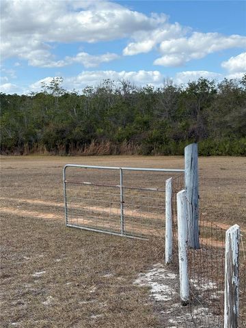 1297 PFUNDSTEIN ROAD, Babson Park, FL 33827