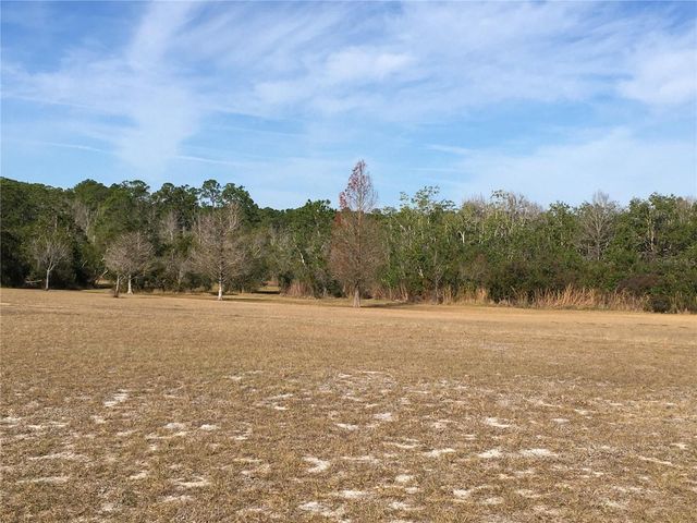 1297 PFUNDSTEIN ROAD, Babson Park, FL 33827