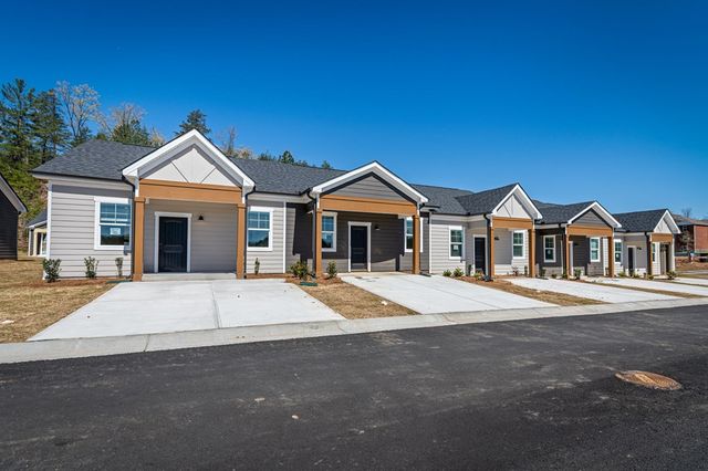 Unit 27 Grove Loop, Blue Ridge, GA 30513