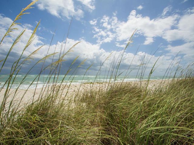 275 Date Palm Road 304, Vero Beach, FL 32963