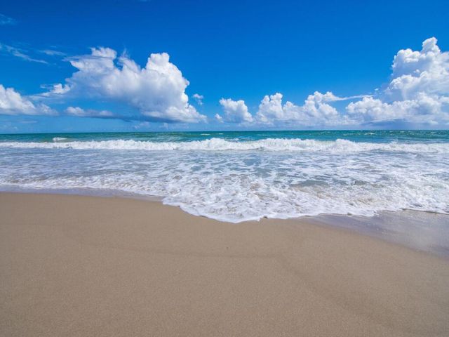 275 Date Palm Road 304, Vero Beach, FL 32963