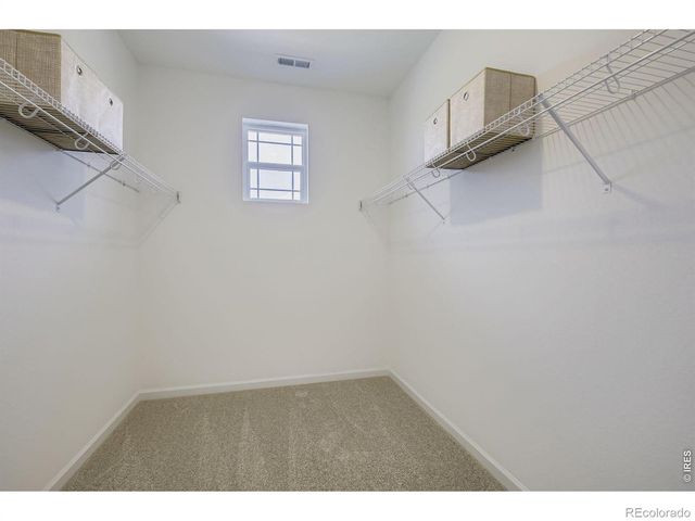 7334 White River Street, Frederick, CO 80530