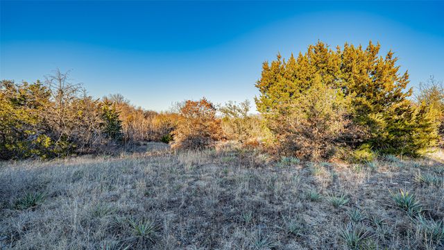 2220 Walter Smith Court, Azle, TX 76020