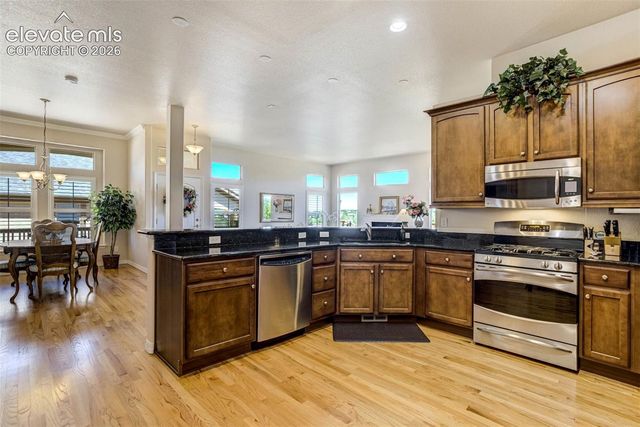 9508 Carriage Creek Point, Colorado Springs, CO 80920