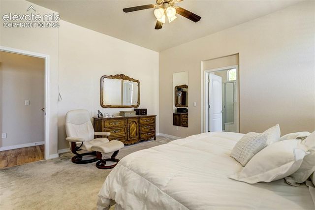 9508 Carriage Creek Point, Colorado Springs, CO 80920