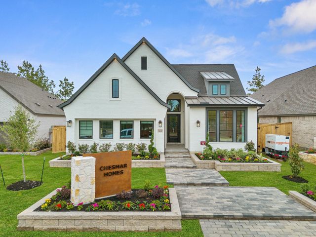 311 Fish Owl Way, Willis, TX 77318